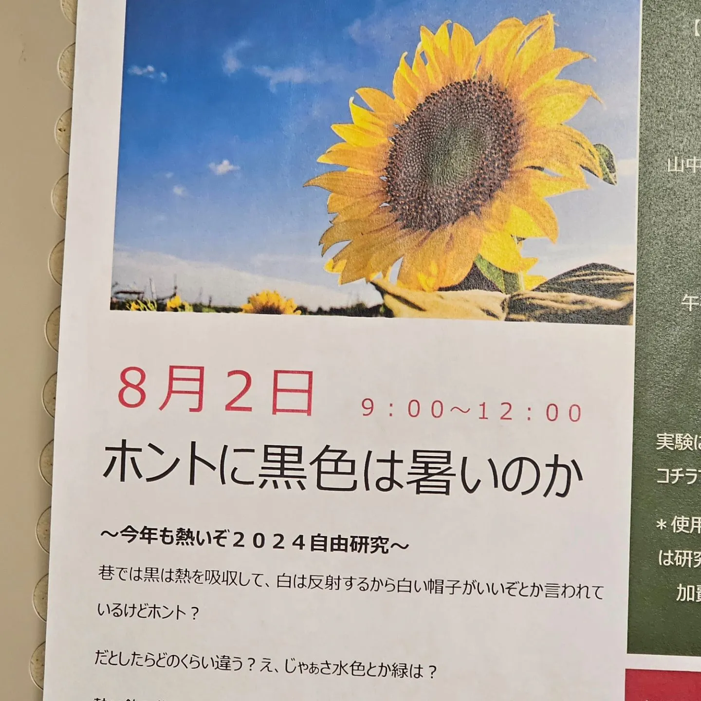 今年の自由研究のテーマは色と温度変化。