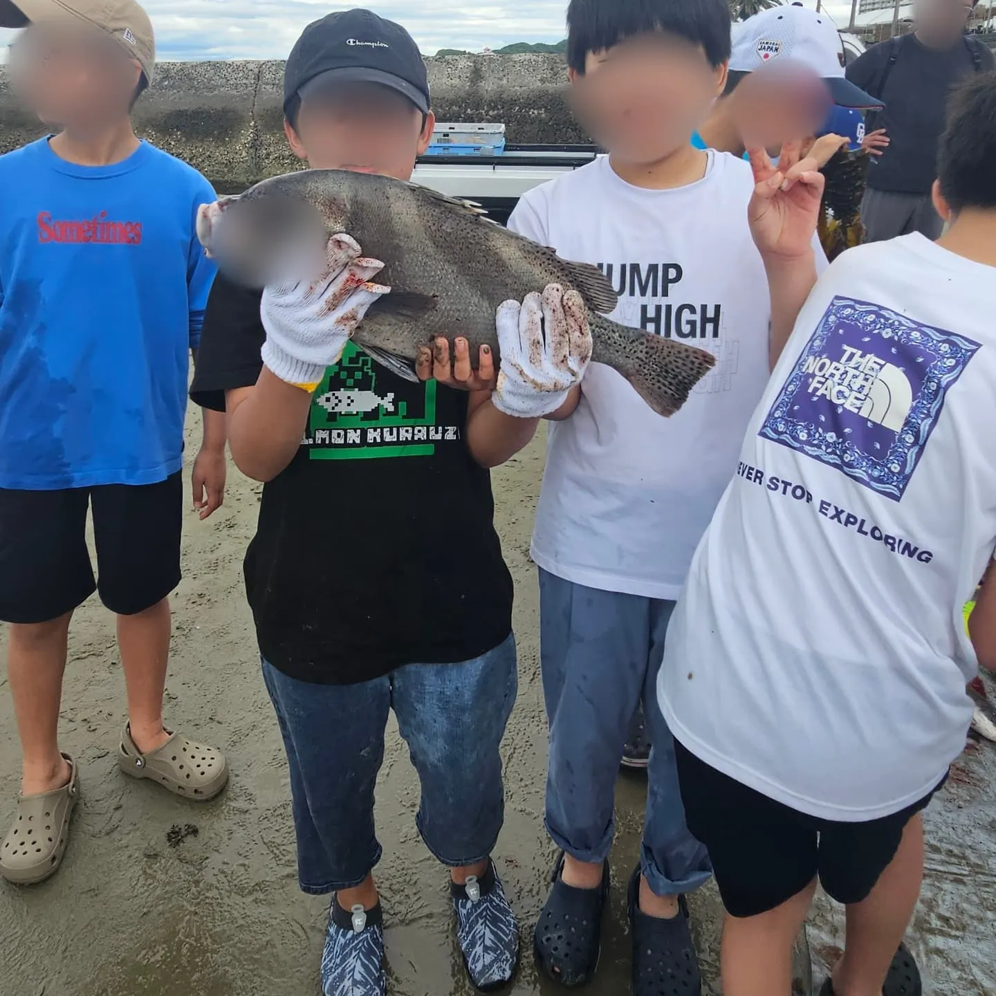 今年は、5年ぶりになる地引き網に行ってきました。