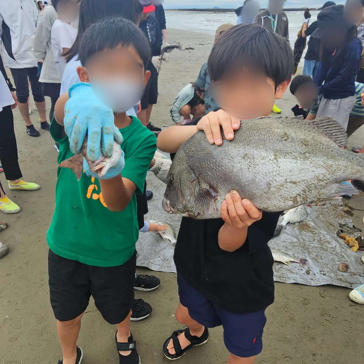 今年は、5年ぶりになる地引き網に行ってきました。