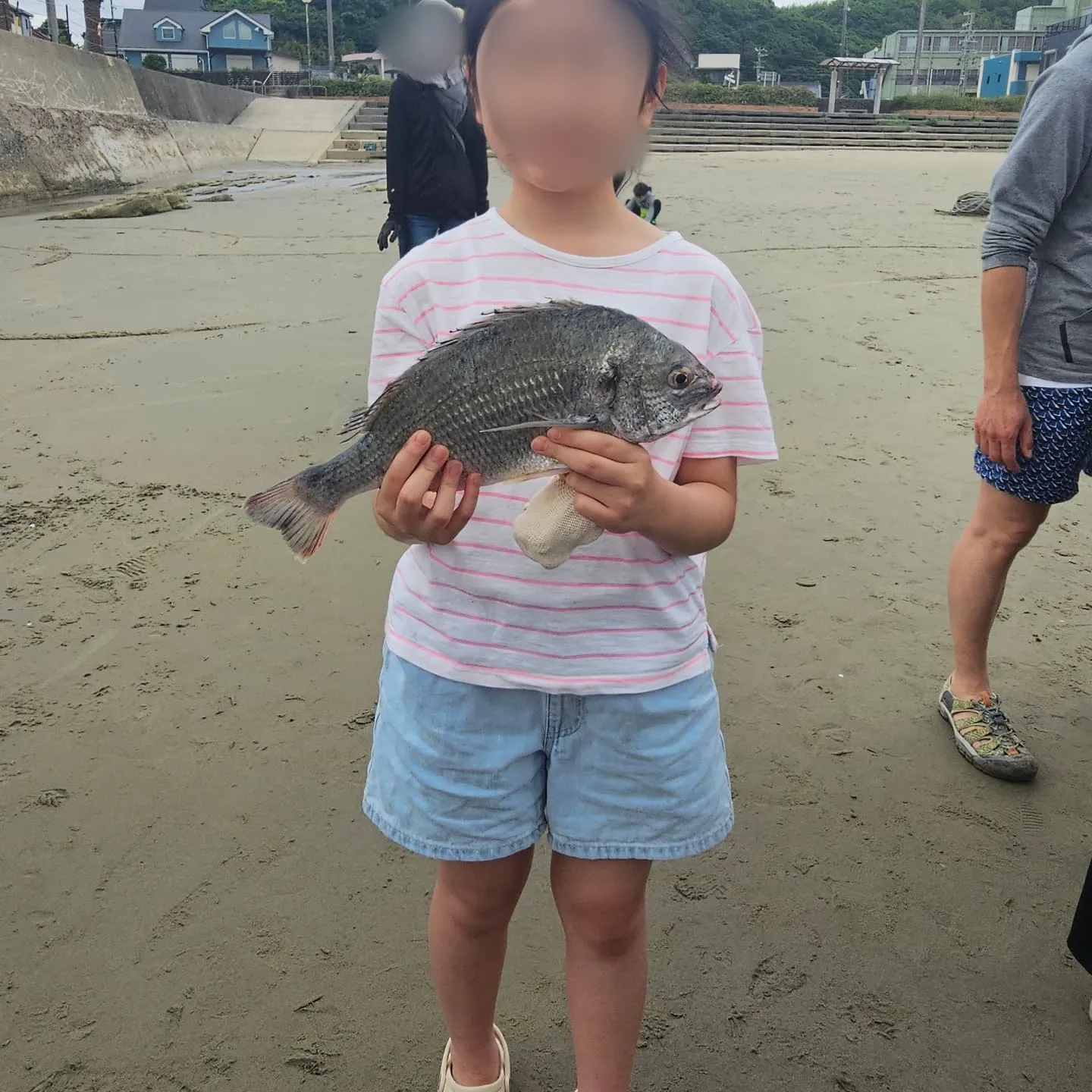 今年は、5年ぶりになる地引き網に行ってきました。